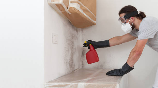Professional Crawl Space Mold Removal technician working in Florham Park, NJ