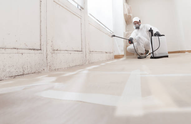 24/7 Emergency Crawl Space Mold Removal experts in Florham Park, NJ